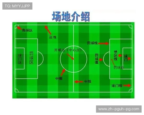 足球的基本规则解析，新手如何快速入门